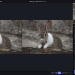 Topaz Photo AI 3.4.1 (x64) Free Download – Get It Now!