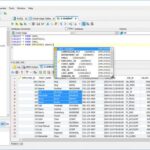 DbVisualizer Pro