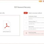 Passper for PDF