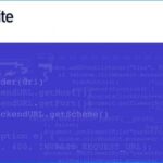 Burp Suite Professional
