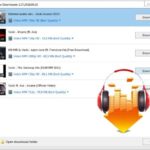 DLNow Video Downloader