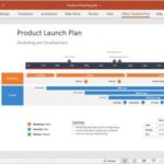 Office Timeline