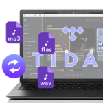 Tidal Music Converter