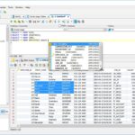DbVisualizer