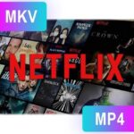 Pazu Netflix Video Downloader