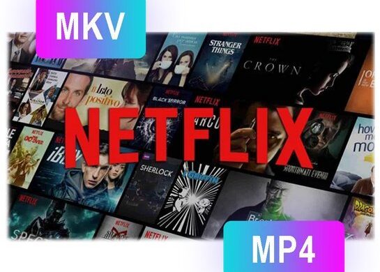 Pazu Netflix Video Downloader
