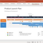 Office Timeline