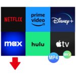 Video Downloader