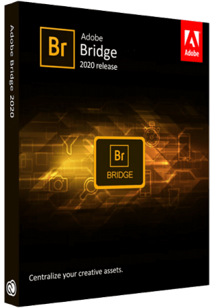 Adobe Bridge 2026