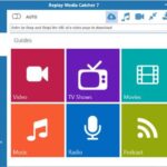 Replay Media Catcher