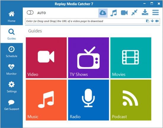Replay Media Catcher