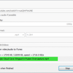 Robin YouTube Video Downloader Pro