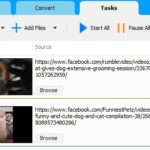 Social Media Downloader