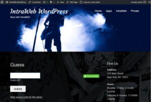 IntraWEB Ultimate 16.2.6 1