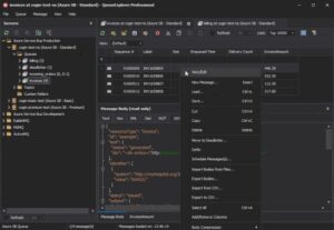 QueueExplorer Professional 5.0.93 1