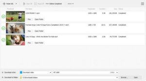YT Geek YTDL 12.5.11 (x64) 1