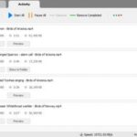 YT Video Downloader