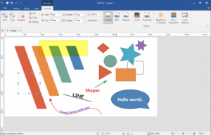 PicPick Professional 7.6.2 Multilingual 1