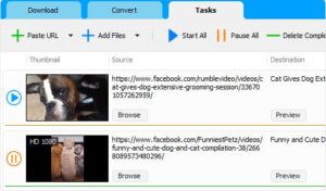 Social Media Downloader 8.5.34 (x64) 1