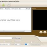 iPixSoft GIF to Video Converter