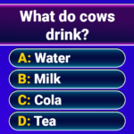 Millionaire 2026 Quiz & Trivia